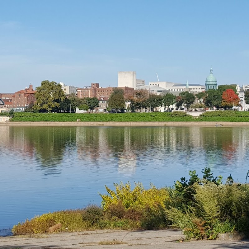 Water Golf On City Island