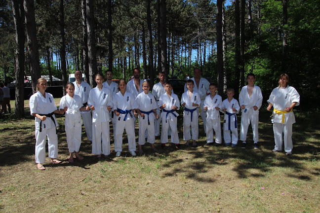 Értékelések erről a helyről: Reiniku Kyokushin Karate Klub, Veresegyház - Szórakozóhely