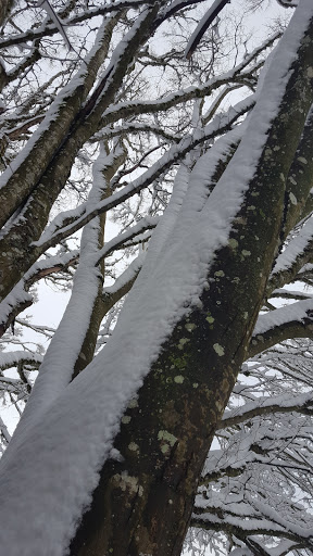 Park «Commonwealth Lake Park», reviews and photos, SW Butner Rd & SW Huntington Ave, Cedar Hills, OR 97225, USA