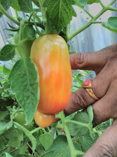 Park «Andover Park», reviews and photos, 3291 Andover Dr, Aurora, IL 60504, USA