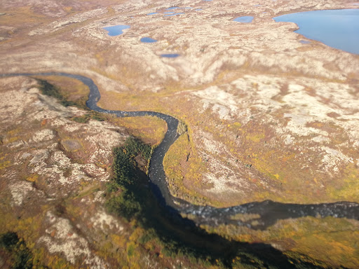 National Park «Katmai National Park and Preserve», reviews and photos