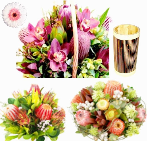 Florist «Designs by Doe Specialty Florist and Gifts», reviews and photos, 1595 W 5th Ave, Columbus, OH 43212, USA