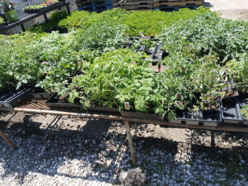 Produce Market «Jiggs Produce», reviews and photos, 5301 Valley Station Rd, Louisville, KY 40272, USA