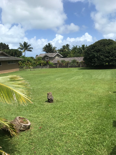 Honolulu Yard and Lawn