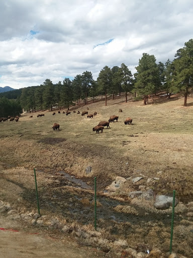 Plumber «Evergreen Septic Pumping», reviews and photos, 322 Quarter Cir Ln, Evergreen, CO 80439, USA