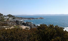 Playa Negra, Tongoy