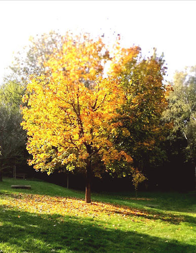 Nyitvatartás: Baracsi úti Arborétum