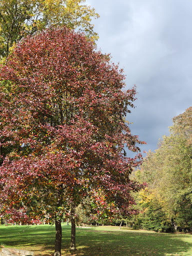 Golf Course «Pine Brook Golf Course», reviews and photos, 1 Covered Bridge Blvd, Manalapan Township, NJ 07726, USA