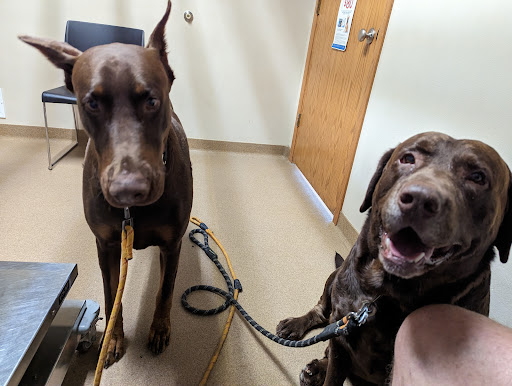 Osceola Veterinary Clinic image