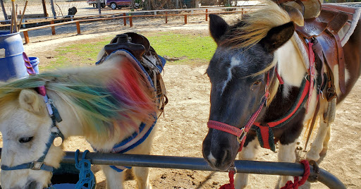 Pony Time at Lakewood Equestrian Center image
