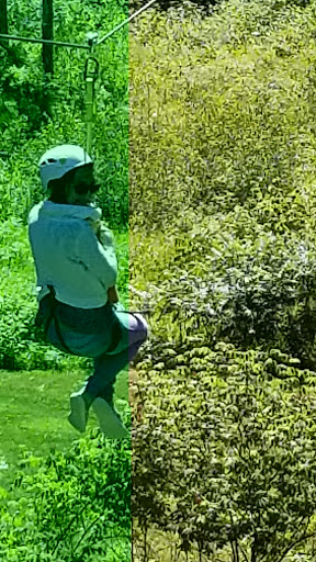 Tourist Attraction «Mystery Spot», reviews and photos, N916 Martin Lake Rd, St Ignace, MI 49781, USA