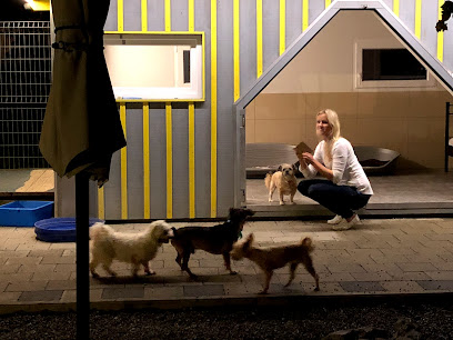 A3-Tierferienplatz im Aargau, das Tierhotel wo sich Hunde und Katzen wohlfühlen mit der Option zum Familienanschluss