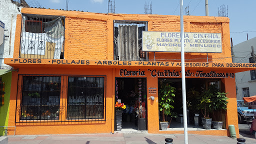 Flores Cinthia – Tonalá