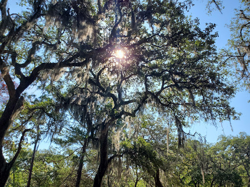 Park «Lake Mills Park», reviews and photos, 1301 Tropical Ave, Chuluota, FL 32766, USA