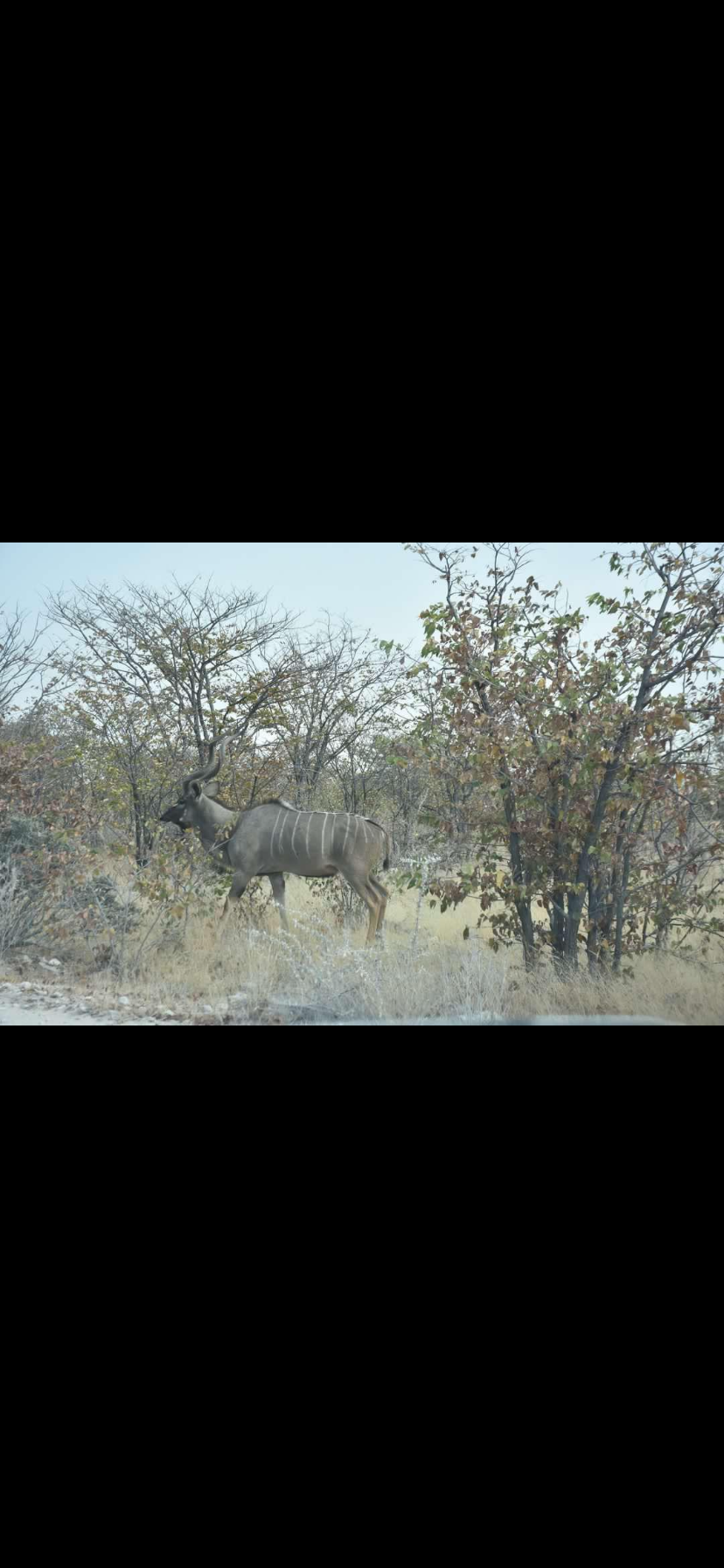 Photo n° 10 de l'avis de David.e fait le 21/03/2024 à 10:03