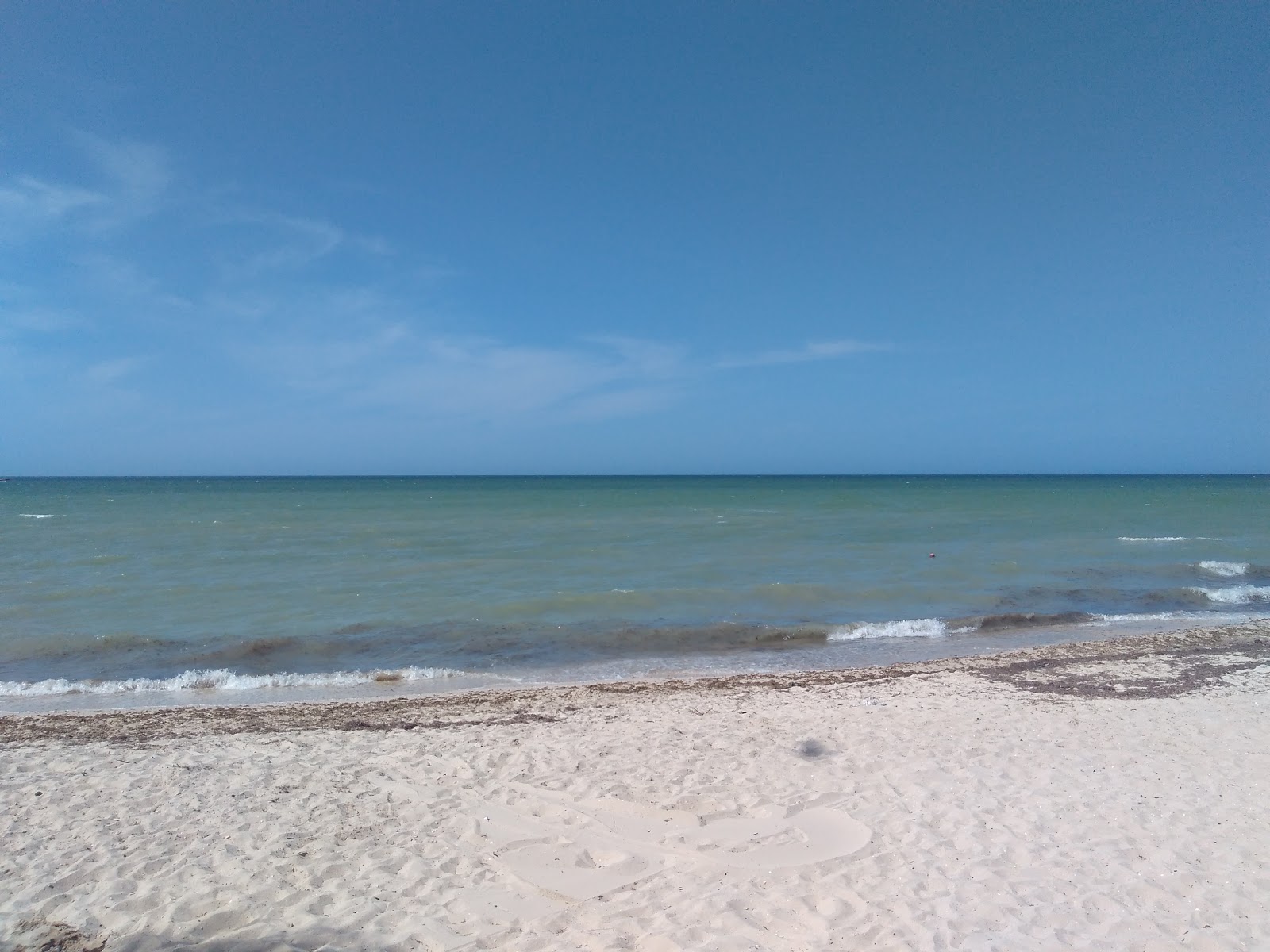 Foto af Playa Uaymitun vildt område