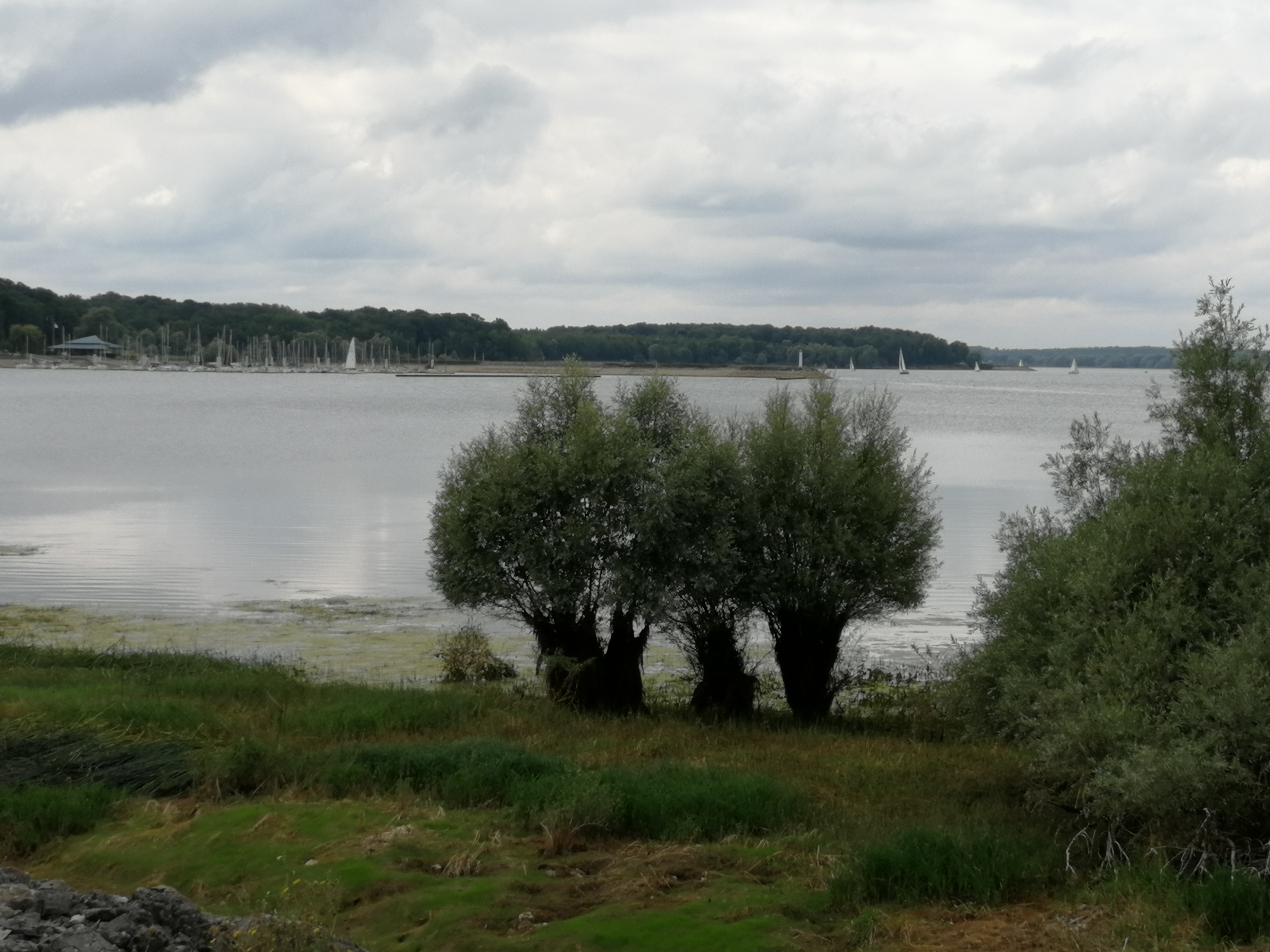 Photo n° 6 de l'avis de Christophe.e fait le 29/08/2021 à 16:59