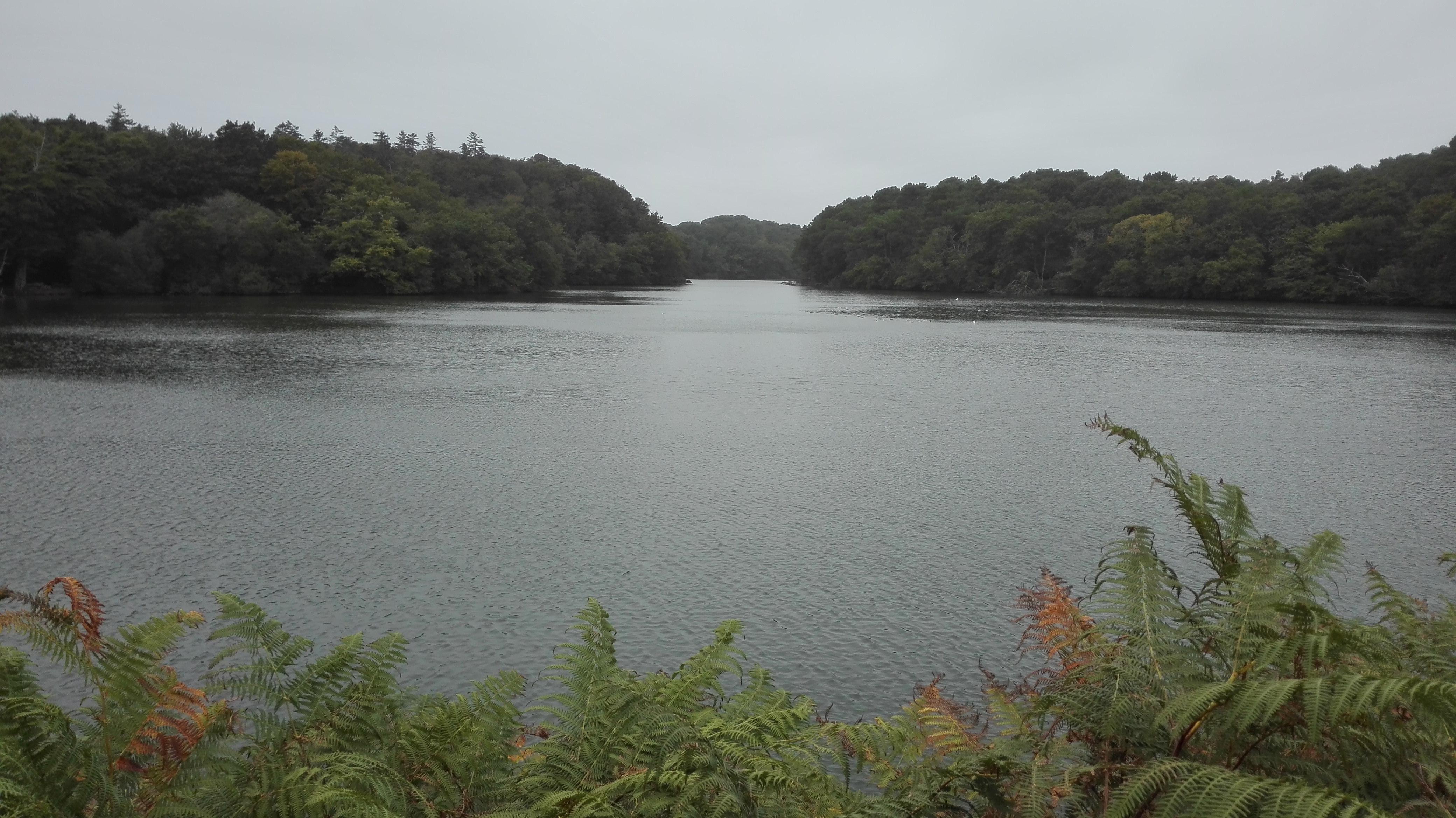 Photo n° 1 de l'avis de Jean-bernard.E fait le 12/09/2019 à 18:46