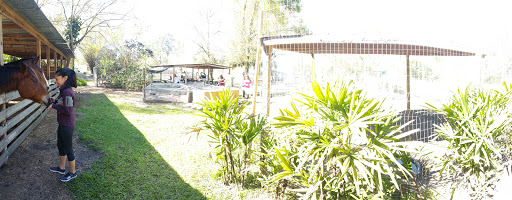 Animal Rescue Service «Nanny’s Educational Zoo And Rescue», reviews and photos, 1139 Livingston Rd, Lutz, FL 33559, USA