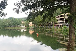 Lago verde image