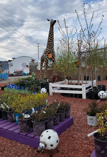 Hardware Store «Scholze Ace Home Center», reviews and photos, 133 County Rd A, Black River Falls, WI 54615, USA