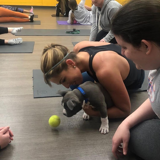 Gym «Retro Fitness - New Springville», reviews and photos, 2385 Richmond Ave, Staten Island, NY 10314, USA