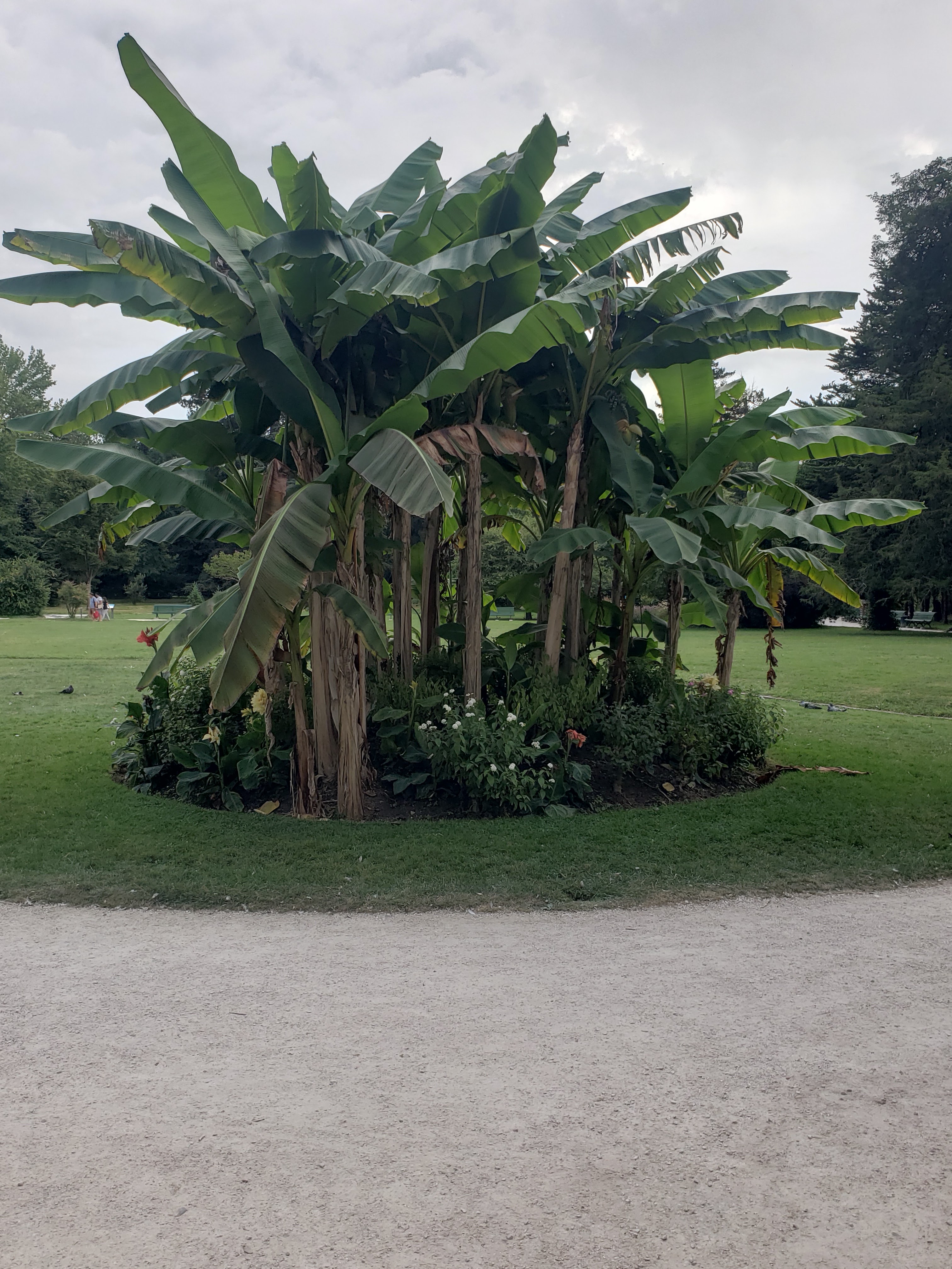 Photo n° 8 de l'avis de Julien.o fait le 16/08/2023 à 21:21