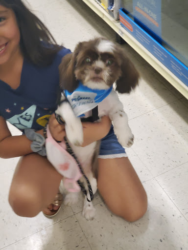 Pet Supply Store «PetSmart», reviews and photos, 30 Malphrus Rd, Bluffton, SC 29910, USA