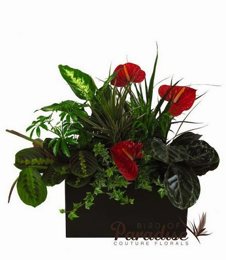 Florist «Bird of Paradise Couture Florals», reviews and photos, 17775 Main St m, Irvine, CA 92614, USA