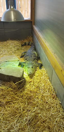 Zoo «Reptile Zoo», reviews and photos, 22715 US-2, Monroe, WA 98272, USA