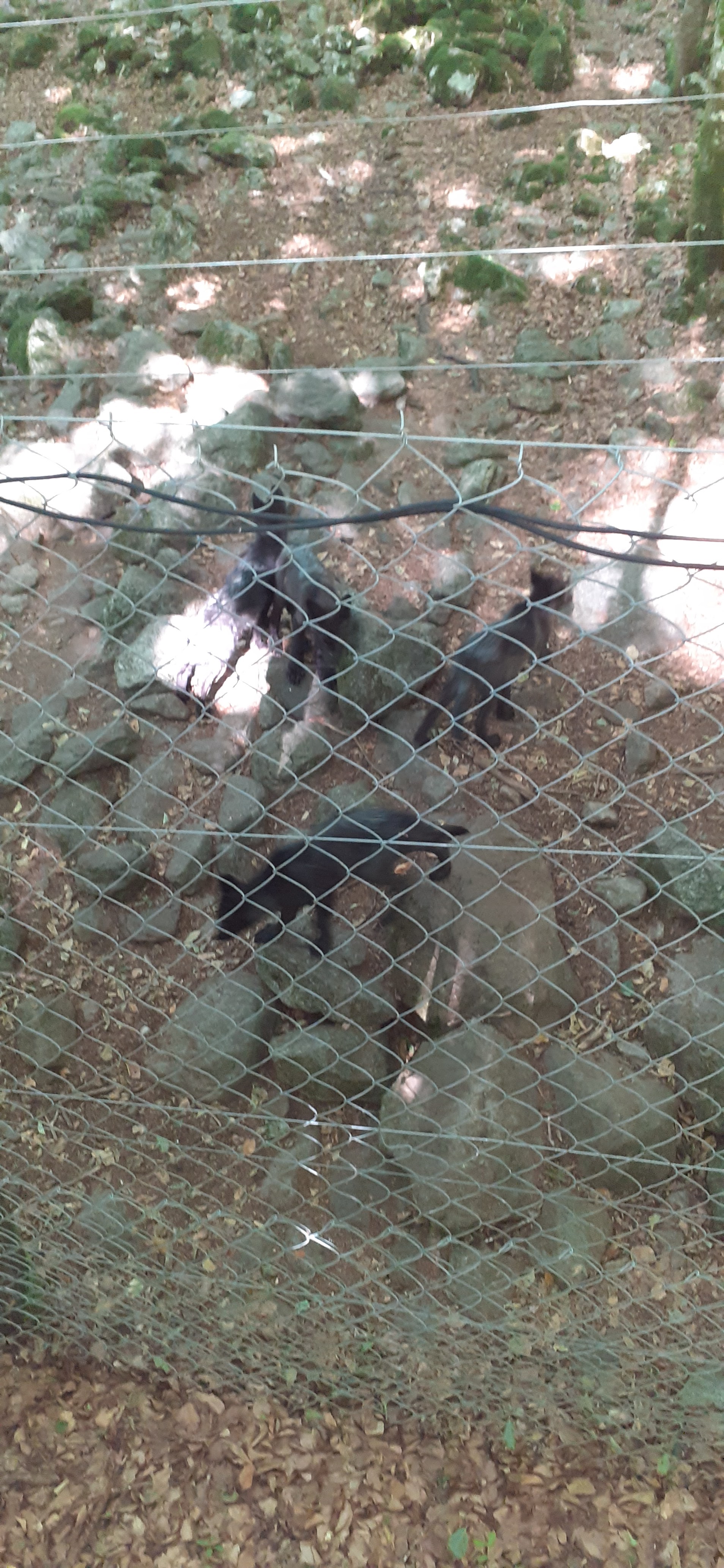 Photo n° 5 de l'avis de Orientale.v fait le 02/08/2022 à 16:21