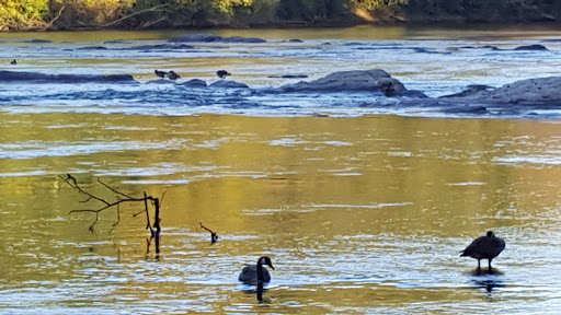 National Park «Chattahoochee River National Recreation Area, Island Ford Unit», reviews and photos, 1978 Island Ford Pkwy, Sandy Springs, GA 30350, USA