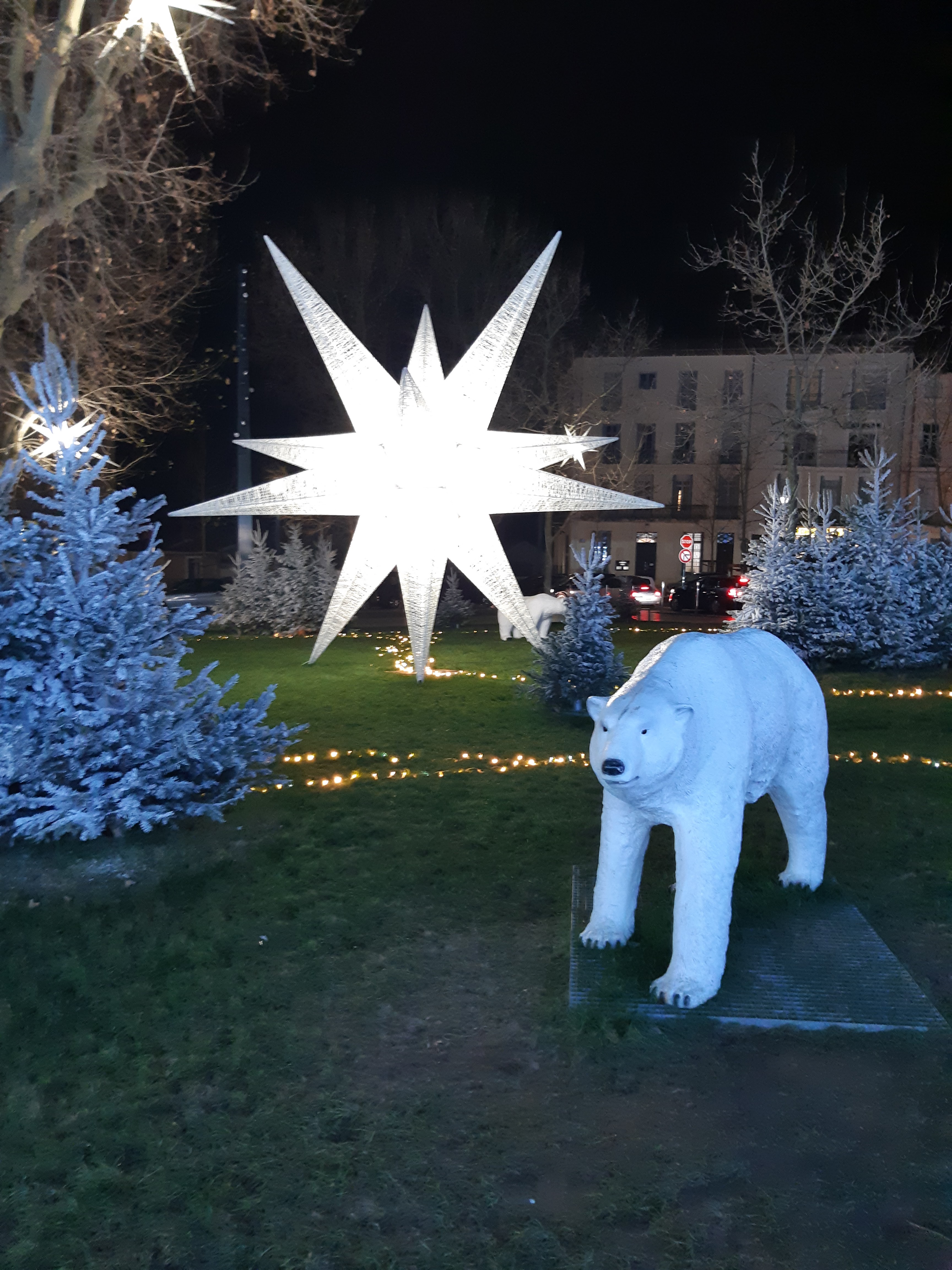 Photo n° 7 de l'avis de laure.o fait le 30/12/2020 à 19:02