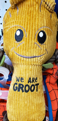 Pet Supply Store «Petco Animal Supplies», reviews and photos, 239 Newburyport Turnpike, Topsfield, MA 01983, USA