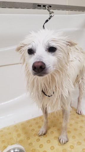 Pet Supply Store «Pet Pantry & Dog Wash», reviews and photos, 5148 Academy Blvd N, Colorado Springs, CO 80918, USA