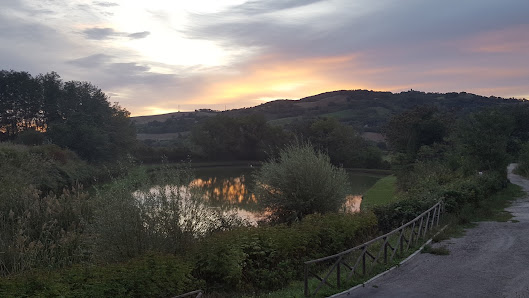 Cecchini Mirella Via Provinciale Feltresca, 79, 61020 Ca' Gallo PU, Italia