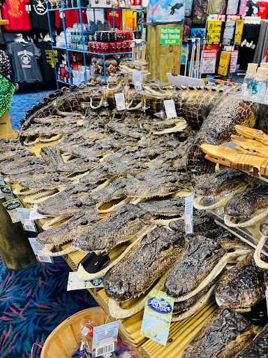 Gift Shop «Jungle Falls Gift Shop», reviews and photos, 5265 W Irlo Bronson Memorial Hwy, Kissimmee, FL 34746, USA