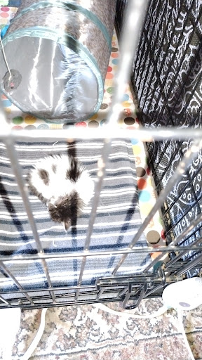 Pet Supply Store «Petco Animal Supplies», reviews and photos, 5 Sugar Hollow Rd b, Danbury, CT 06810, USA