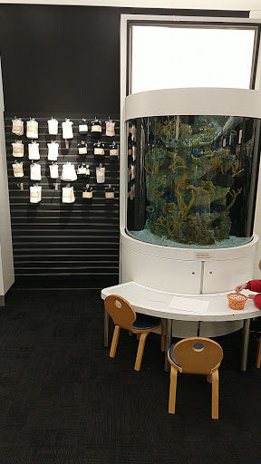 Department Store «Nordstrom Partridge Creek», reviews and photos, 17310 Hall Rd, Charter Twp of Clinton, MI 48038, USA