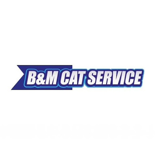B & M Cat Service - San Martín de Porres
