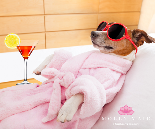 House Cleaning Service «MOLLY MAID of Central Somerset, Mercer & NW Jersey», reviews and photos, 150 West End Ave #2, Somerville, NJ 08876, USA