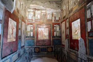 House of the Vettii image