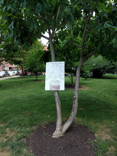 Park «Saunders Park», reviews and photos, 3827 Powelton Ave, Philadelphia, PA 19104, USA