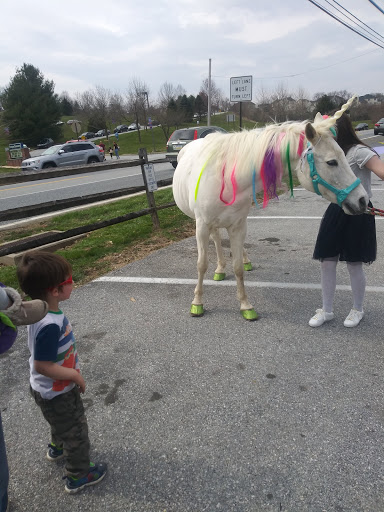 Hardware Store «Brandywine Ace Pet & Farm», reviews and photos, 1150 Pocopson Rd, West Chester, PA 19382, USA