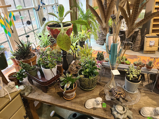 Garden Center «Victoria Gardens», reviews and photos, 1 Cottekill Rd, Rosendale, NY 12472, USA