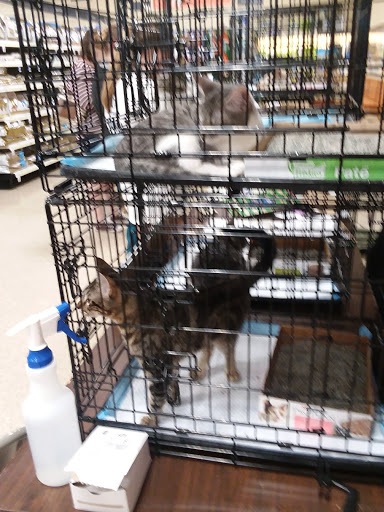 Pet Supply Store «PetSmart», reviews and photos, 5005 S 74th St, Greenfield, WI 53220, USA