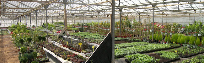 Φυτώριο Καντιδάκη