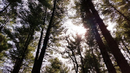 Nature Preserve «Iowa Raptor Center», reviews and photos, 2095 Mehaffey Bridge Rd NE, Solon, IA 52333, USA
