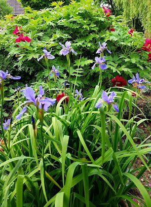 Photos du propriétaire Ferienwohnung Ferienwohnung Gänsestall 33039 Nieheim