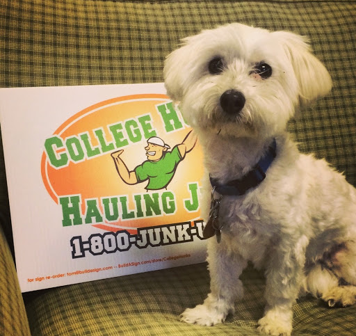 Moving Company «College Hunks Hauling Junk and Moving», reviews and photos, 39 Davenport St, Stamford, CT 06902, USA